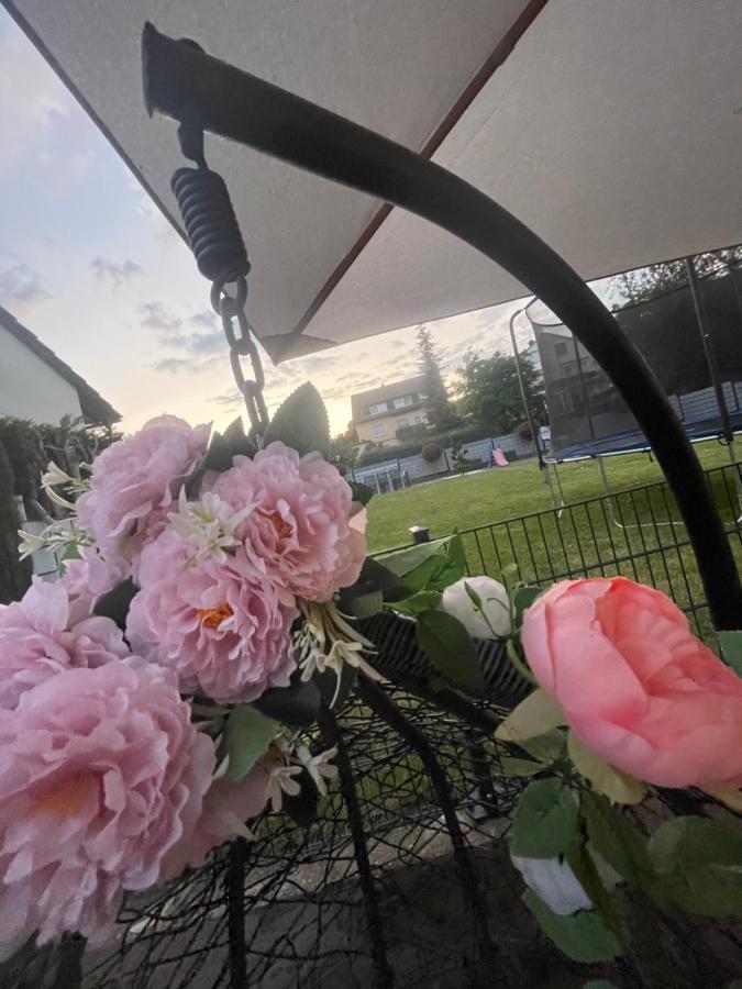 Ferienwohnung Marie Rüdesheim nad Renem Zewnętrze zdjęcie